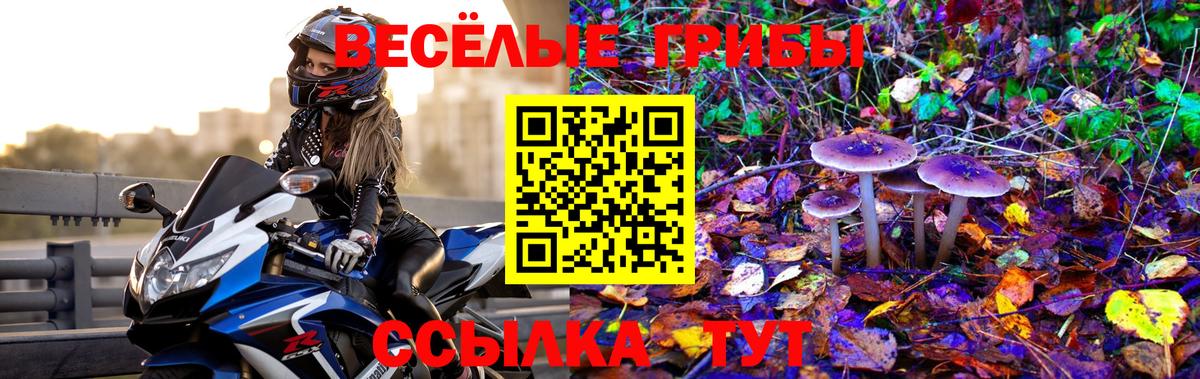 Кандалакша  как найти наркотики  Вход с VPN  Галлюциногенные грибы мицелий  Галлюциногенные грибы Psilocybe 
